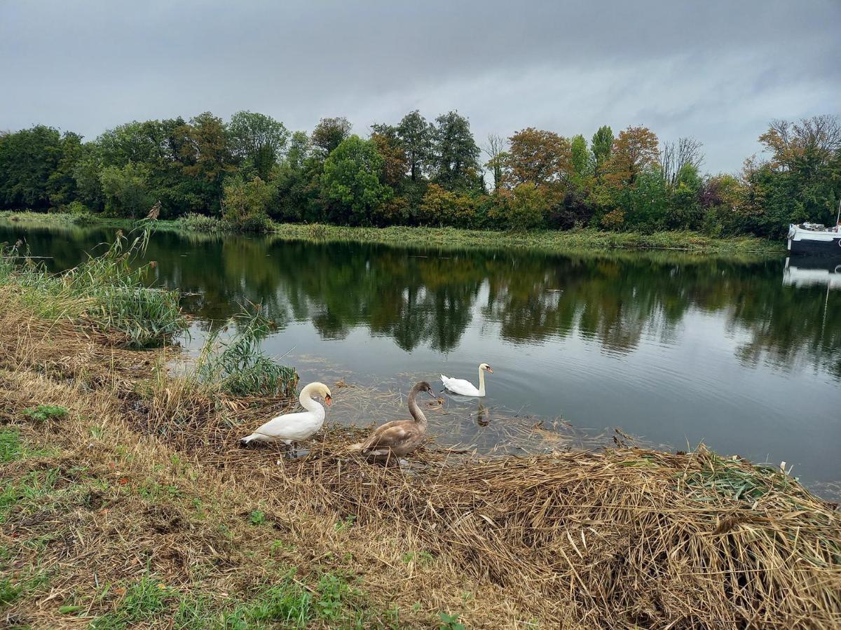Appartement Atypique Independant Sur Peniche Metz Kültér fotó