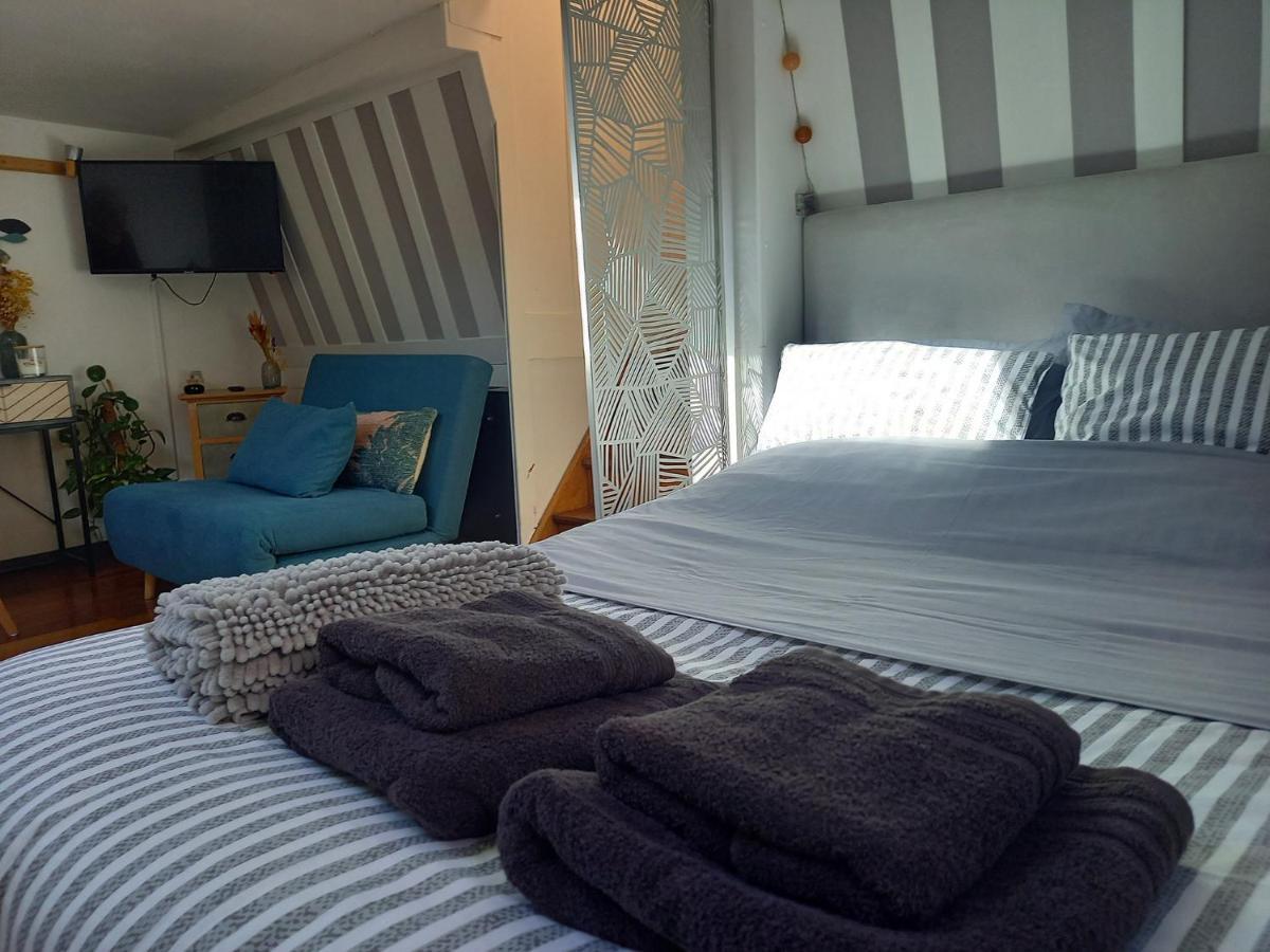Appartement Atypique Independant Sur Peniche Metz Kültér fotó